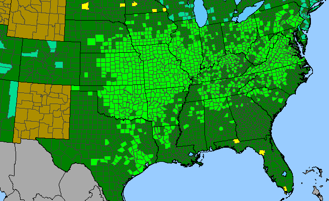 The range of Symphoricarpos orbiculatus